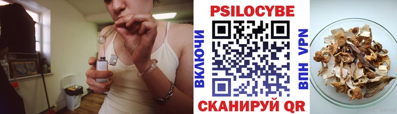 Купить где  Кологрив  Псилоцибиновые грибы Cubensis 